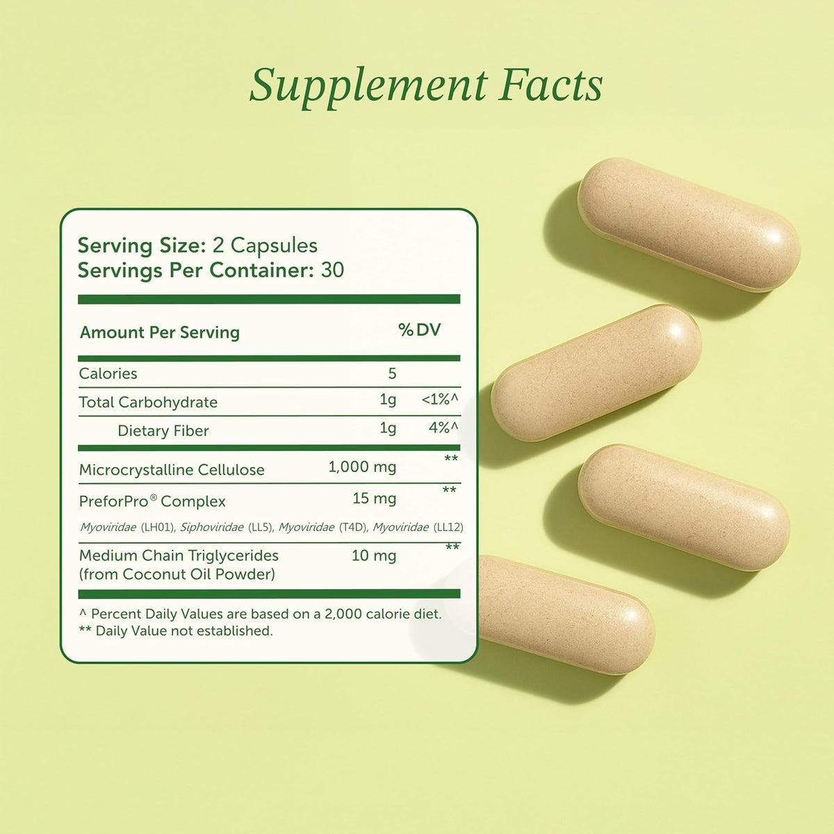 Prebiotic Fiber